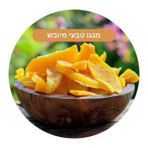 מנגו טבעי מאיה זן מיוחד (250 גר') ללא תוספת סוכר