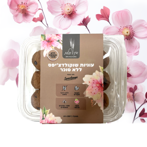 עוגיות שוקולד צ׳יפס ללא סוכר- דני וגלית