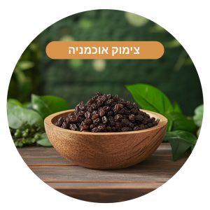 צימוק אוכמנייה (250 גר')