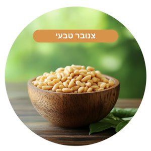 צנובר טבעי גדול משקל של 1 ק״ג