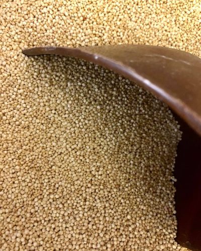 263303316_617491762705596_4648017651677411737_n