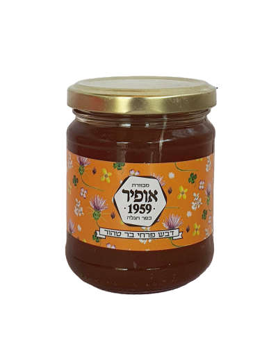 דבש אופיר מפרחי בר טהור- 250 גר'